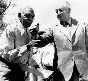 Media_httpprogressive_bhgtx