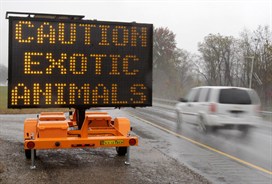 Media_httpimagesninem_jgetm