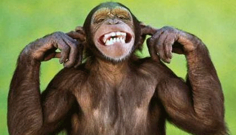 Media_httpwwwthepunch_detrv