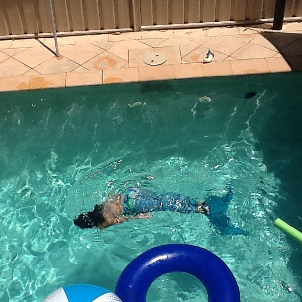 Media_httpdistilleryi_gazpr