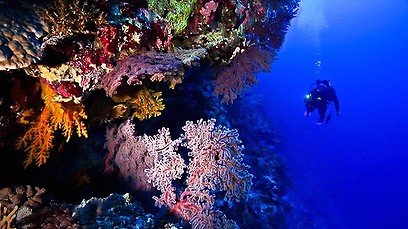 Media_httpimagessmhco_cfcdr