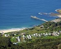 Media_httpdingocare2c_agway