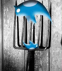 Media_httpimagessmhco_gpijq